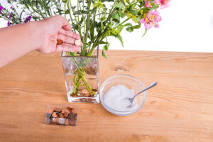 Hand Putting Copper Coins Into Vase With Water 