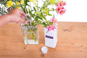Hand Pouring Bleach Into Flower Vase With Water 