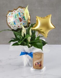 Lily Plant And Birthday Balloon