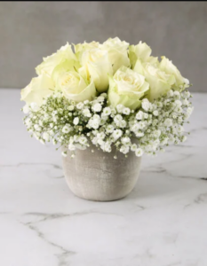 White rose and Baby's breath in a ceramic pot
